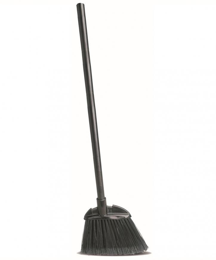 Dustpan Borste